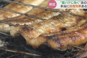 夏の疲れには要注意！本当に効く夏バテ回復メニューとは？
