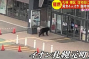 高裁「熊が町に出たら人が喰われようと撃ってはいけない」警察「はい俺の勝ちー」猟友会「もうええわ」