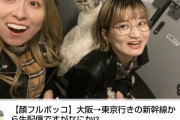 【炎上】イオンシネマ車椅子女さん、新幹線の多目的室の中で猫と一緒に生配信してたことがバレて大炎上
