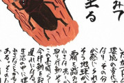 栗山英樹氏「北海道ではクワガタが減りカブトムシが増えている」