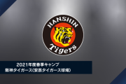 イレブンスポーツ、阪神2軍安芸キャンプの配信決定