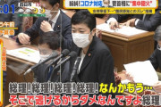 蓮舫、いつもの妙に芝居がかった口調で菅総理に「そんな答弁だから伝わらないんですよ」と言い出す