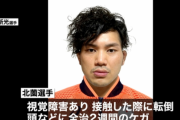 【日本の技術力】パラリンピック選手村で運用されてる自動運転バス（オペレーター２人）が横断歩道を渡っていた選手を轢いて全治２週間　※試合は明日