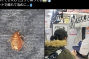 【悲報】トコジラミさん､電車の座席でも見つかる