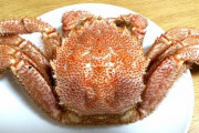 【画像】マリアナ海溝で捕らえられたカニ、ガチで強そうｗｗｗｗｗｗｗｗ