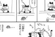 【カメ】なんだよこの漫画ｗｗｗ【注意】