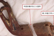 腕が二つに…重要文化財「木造阿弥陀如来坐像」修理中に破損　文化庁
