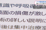 【恐怖】医師、”熊外傷”の恐ろしさ語る「今年だけ全く状況が違う…」