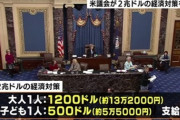 【米議会】220兆円の経済対策に合意　大人1人13万円　子ども1人5万円