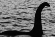 【衝撃】ネス湖のUMA「ネッシー」の正体、まさかの◯◯だった説が現在になって浮上してしまう！　不都合な真実すぎるだろｗｗｗｗｗ