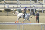 【微笑ましい風景】岩田望来騎手、藤原英昭調教師から熱血指導