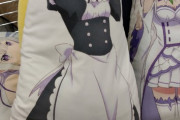 【画像】しまむら、アニオタ向けに「抱き枕」売ってて草ｗｗｗｗｗ
