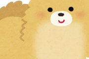 年末からポメラニアン飼い始めたんやけど元気すぎて草ｗｗｗｗｗ