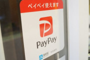 PayPay(ペイペイ)←これ流行らそうとしてるバカの正体ｗｗｗｗｗｗｗｗ