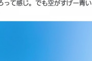 神田沙也加さんの元夫がコメント「唖然としてる状態が続いてる今。でも空がすげー青いや」