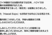 松井珠理奈率いるハワイ親善大使（チームアロハ）の今後の予定出たけど、ハワイに行く事が無い件