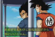 【ドラゴンボール】悟空「おめえが産むわけじゃねえんだから別にいいじゃん。」←あのさぁｗｗｗｗｗ