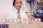 【正論】女さん「ふくよかな女性を豚呼ばわりしてるバカ男に警告。それ、褒め言葉だから(笑)」
