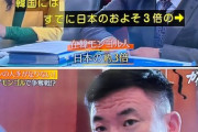 モンゴル人「日本より韓国の方が給料が高い」