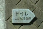 彡(ﾟ)(ﾟ)「クッソ漏れそうや…トイレある所はどこや…？」