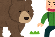 【至急】ヒグマに出会ったらどうするのが正解なんや？