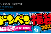 【錬金術】ドンキホーテが1万円分のギフト券とドンペングッズが入った2025年福袋を1万円で販売ｗｗｗｗ