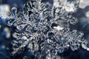 雪が降る前に知っておきたい　お手軽に「雪の結晶をスマホで撮影する方法」が驚きの美しさ