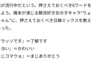 【？？？？？？】日本で流行っていると言われる「日韓ミックス語」に対する韓国の反応がこちら…