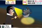 外国人によるワタリガニ密猟で漁師ら悲鳴…一度に５００匹盗られたことも（動画）