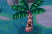 【ポケ森】このゲームの動物って魚は「食べる」けど虫は「愛でる」なんだよな【どうぶつの森 まとめ】