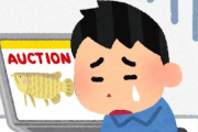 【悲報】なんJアクア民さん、冷静さを失いヤフオクで高級観賞魚を買い漁ってしまう・・・