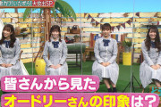 【速報】『どうぶつピース』冒頭で佐々木久美がいきなりオードリー弄りをかますｗｗｗｗｗｗｗｗｗｗ