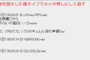 【速報】なんＪ民、声優に殺害予告をして逮捕