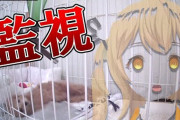 VTuberで犬飼ってる人見た事ない、世間は空前の猫ブームなんか