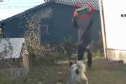 【独自】飼い犬に物干し台やコンクリ投げつけ暴行の一部始終　加害男性を直撃取材…犬の鳴き声が近隣トラブルに発展か？