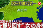 【画像】 ラゾーナ川崎で鎌を振り回す女、女性が切られる 「床に血」「髪の毛も落ちてる・・」 現地封鎖で騒然