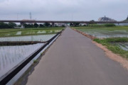 早朝の田んぼ道撮ったぞｗｗｗ（※画像あり）