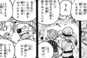 『ワンピース』黒ひげの「人の倍を生きている」の謎が判明する