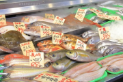 【悲報】客「魚釣ってきたから捌いてもらえますか？」魚屋「有料ですよ」客「は？」