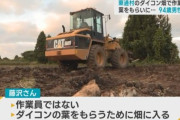 作業中のダイコン畑に葉っぱを貰いに入った男性、ホイールローダーに轢かれて死亡