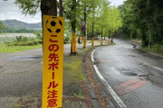 【画像】藤枝ほどにもなると、野生のサッカーボールも出現するんだな…