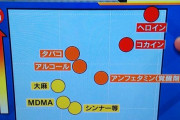 日本人「大麻？！違法だから危険！！お酒？！合法だから安全！！グビグビィィ！！」