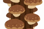 【画像】原木で栽培してるしいたけｗｗｗ