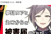 【悲報】にじさんじVtuberさん、害悪系Vを刑事告訴するも敗北してしまう…