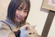 【日向坂46】おひさま、猫によって"アレ"が破壊されてしまう...