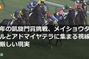 今年の凱旋門賞挑戦、メイショウタバルとアドマイヤテラに集まる視線と厳しい現実