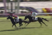 ショウヘイを差し切ったマディソンガール 牝馬三冠確定やろ