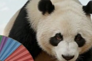 中国人「日本のお土産四天王を決めようぜ！」　中国人「東京の名物を半日考えて出た答え」「仙台の萩なんとかは美味しい！」