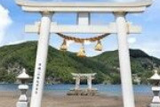 対馬の神社「韓国人出入り禁止の張り紙をはった後から...」　タバコ大量投棄が「またはじまりました」[6/28]  [昆虫図鑑★]