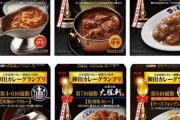 レトルトカレー 何買えば正解